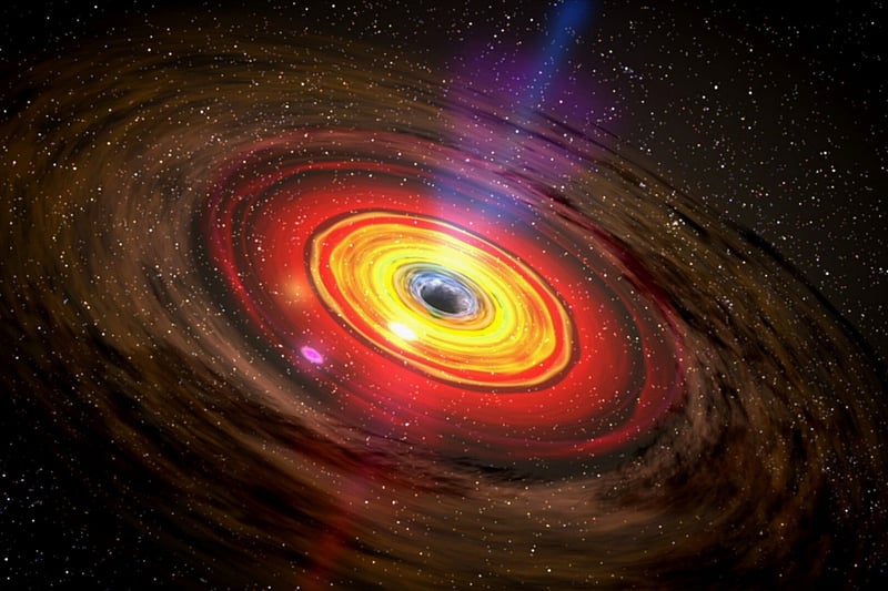 Black Hole Cosmos